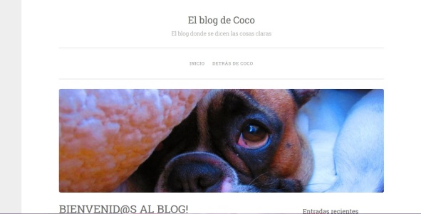 El blog lleva el nombre de Coco que es su mascota, de hecho hay muchas entradas dedicadas a él... ahora está actualmente en Edimburgo. 
