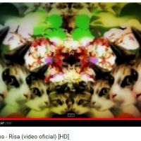 El vídeo de la semana: Risa - Babasónicos.